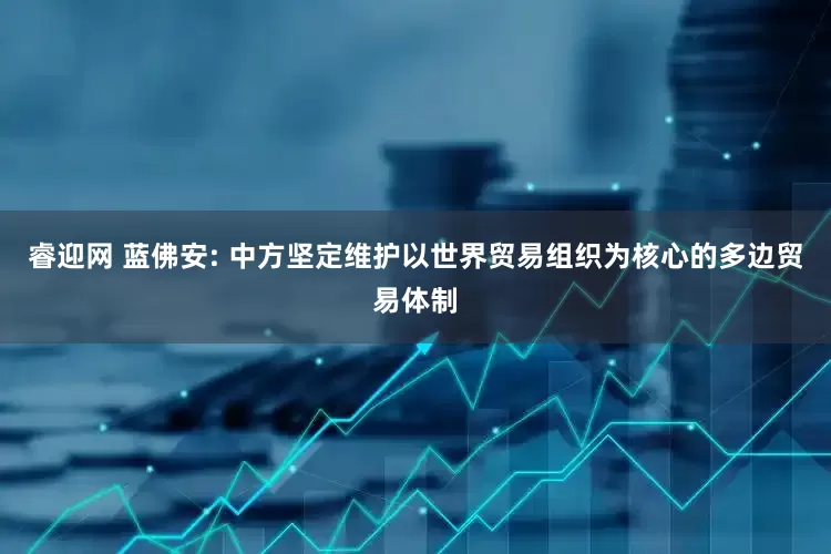 睿迎网 蓝佛安: 中方坚定维护以世界贸易组织为核心的多边贸易体制