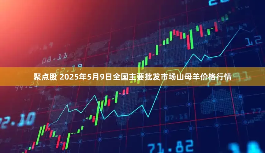 聚点股 2025年5月9日全国主要批发市场山母羊价格行情