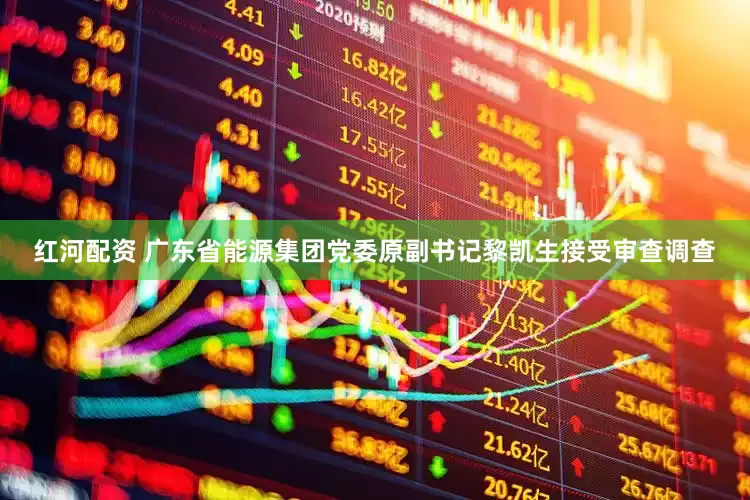 红河配资 广东省能源集团党委原副书记黎凯生接受审查调查