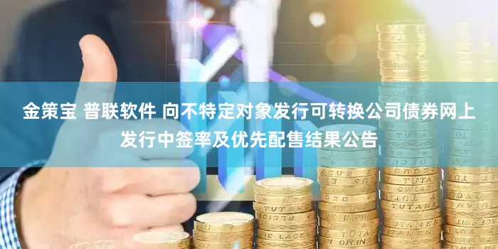 金策宝 普联软件 向不特定对象发行可转换公司债券网上发行中签率及优先配售结果公告